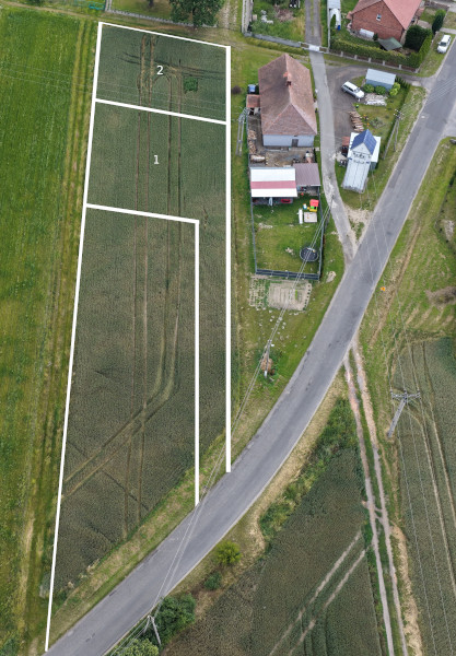 zielone zakatek